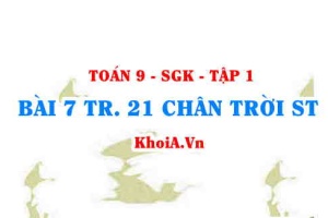 Bài 7 trang 21 Toán 9 Chân trời sáng tạo Tập 1
